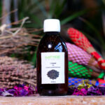 Vegetable Oil Linseed (Bottle) - Nature by Marc Beyrouthy