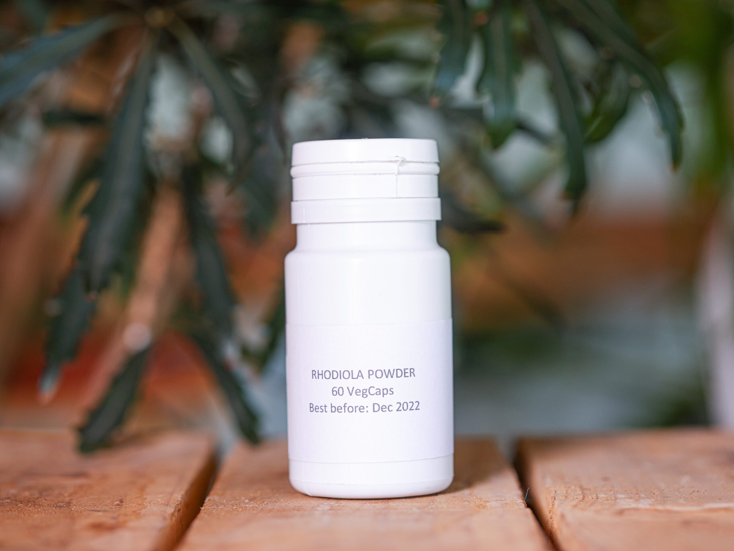 2335527263-1.jpg Rhodiola (Pills) - Nature by Marc Beyrouthy - Image 1