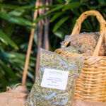 Lemon grass (Cymbopogon citratus) (Bag) - Nature by Marc Beyrouthy