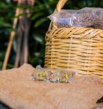 Pistachio الفستق الحلبي (Bag) - Nature by Marc Beyrouthy