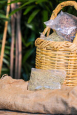Rosemary (Salvia rosmarinus) (Bag) - Nature by Marc Beyrouthy