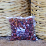 Common Juniper (Juniperus communis) (Bag) - Nature by Marc Beyrouthy