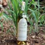 Liqueur Citronella (Bottle) - O2Bar