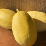 Squash Spaghetti (Kg) - Janynet Rafania