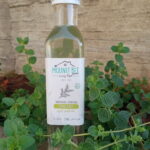 Water Thyme (Bottle) - Mounet Bet Freifer