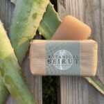 Soap Aloe vera (Pcs) - Botanical Beirut