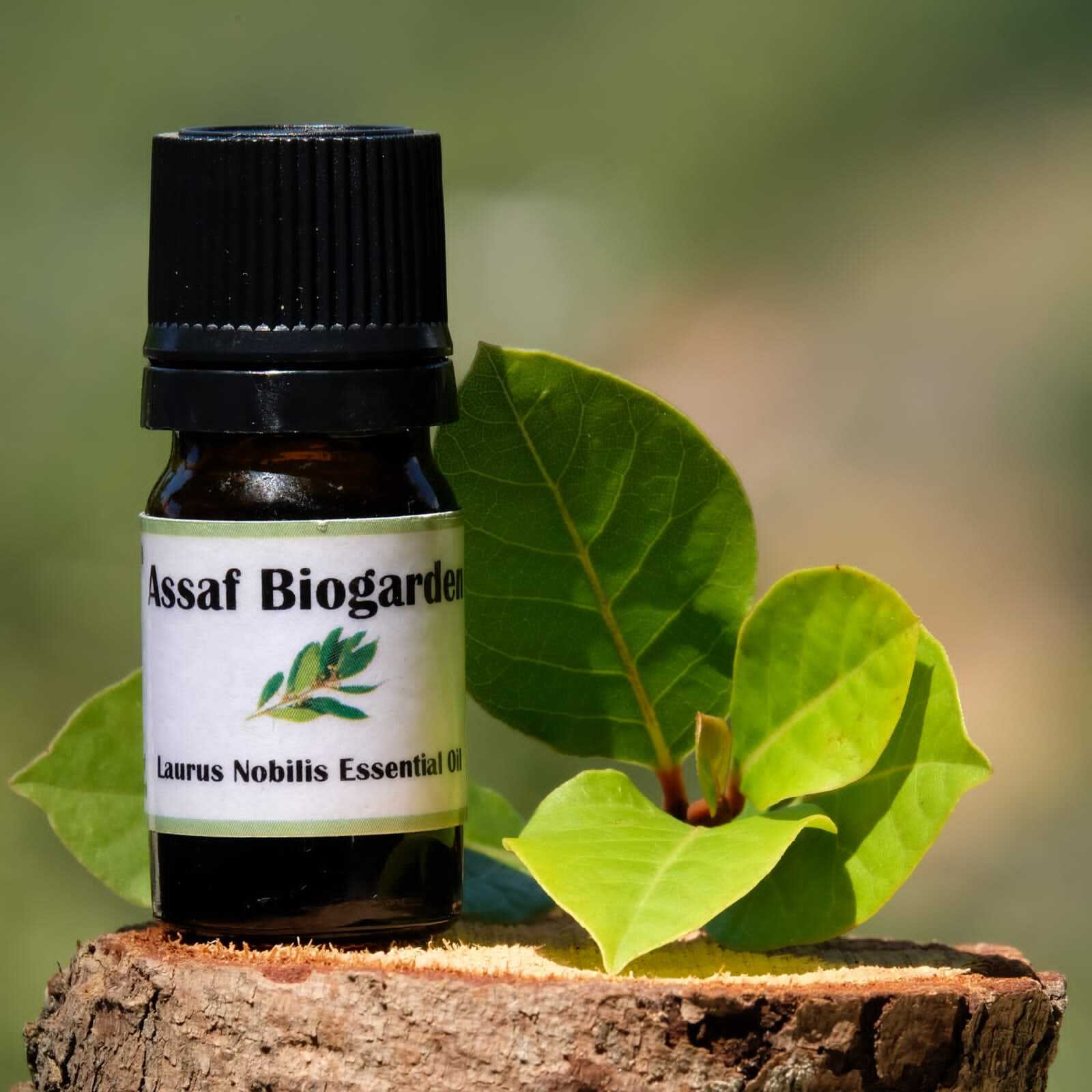3315057598-1.jpg Essential Oil Laurus (Bottle) - Assaf Biogarden - Image 1