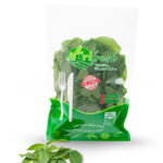 Mint Leaves Sanitized (Bag) - Agrifresh