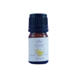 Essential Oils Fennel (Bottle) - So Glam