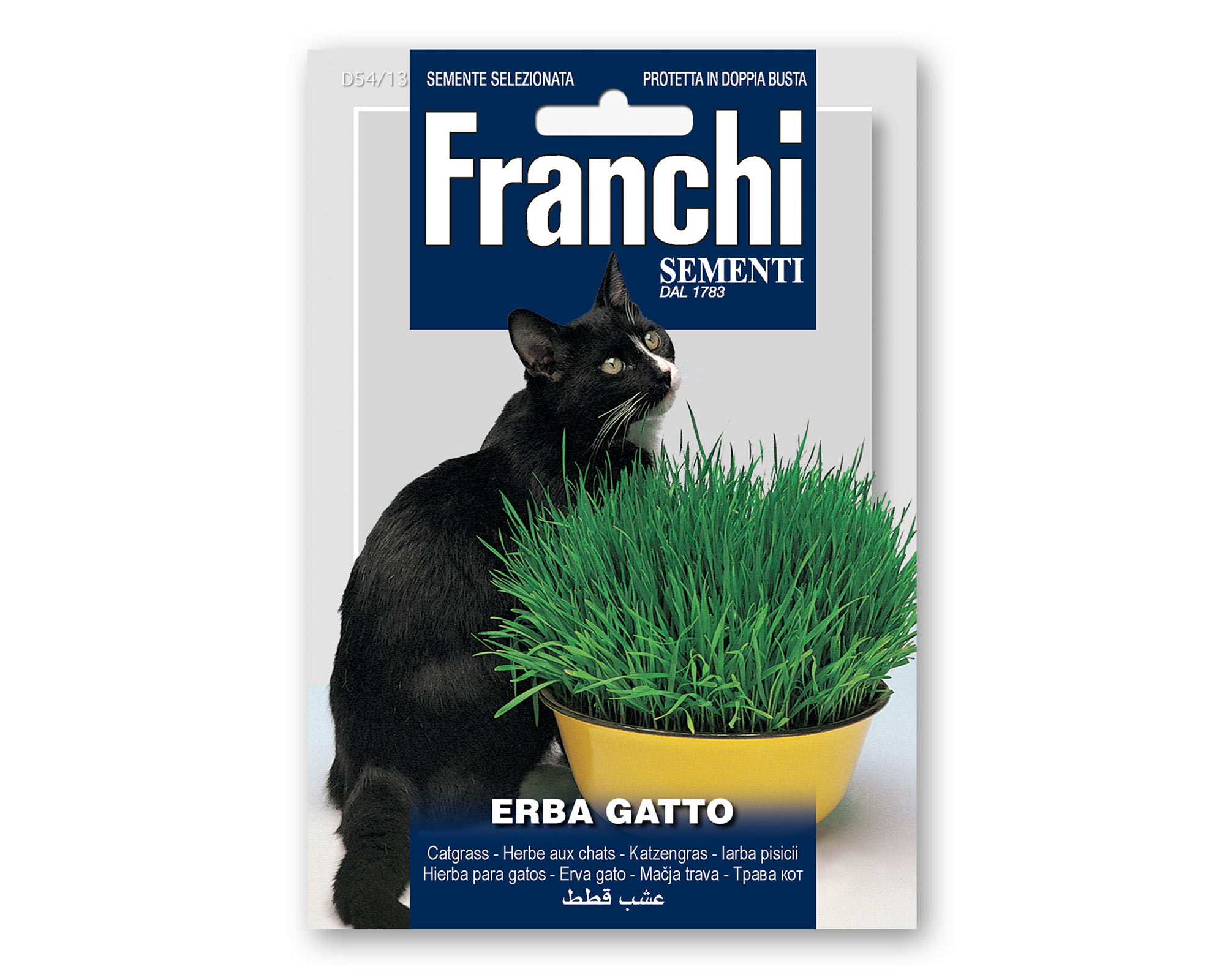 Nepeta cataria (Bag) - Franchi Sementi
