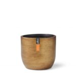 Pot Capi Retro BRTG Gold Planter (Pot) - Nature by Marc Beyrouthy