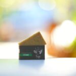 Soap Peppermint (Bar) - Freyja