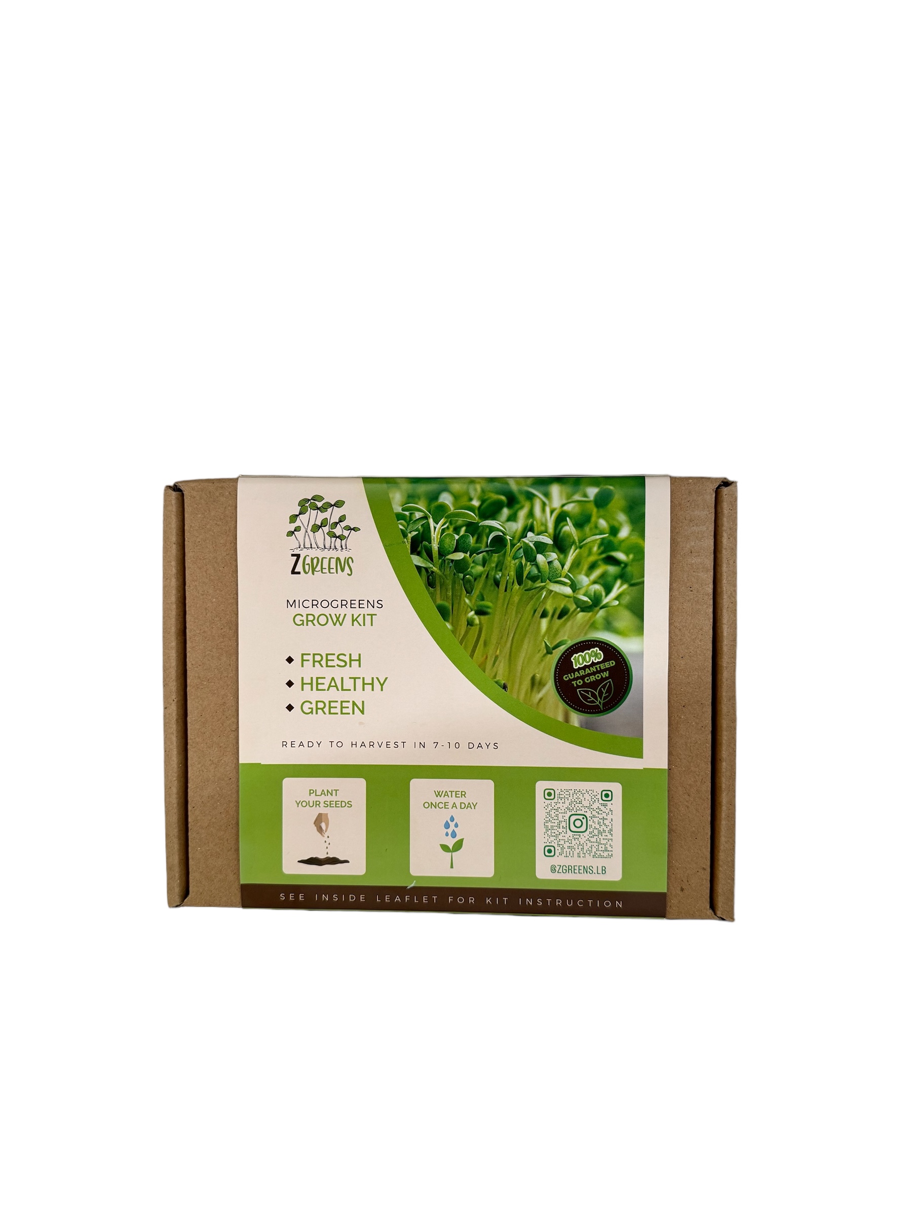 Microgreens Seeds Arugula (Kit) - Z Greens Microgreens Seeds Arugula (Kit) - Z Greens - Image 1