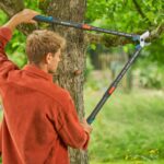 Extendable Pruning Lopper TeleCut Pro L, 25 cm Extendable, 50 mm Cutting Diameter, Bypass - Image 2
