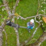 Battery Telescopic Pruning Loppers HighCut 250/18V P4A — 18 V, 28 mm Cutting, 4 m Reach, Bypass - Image 4