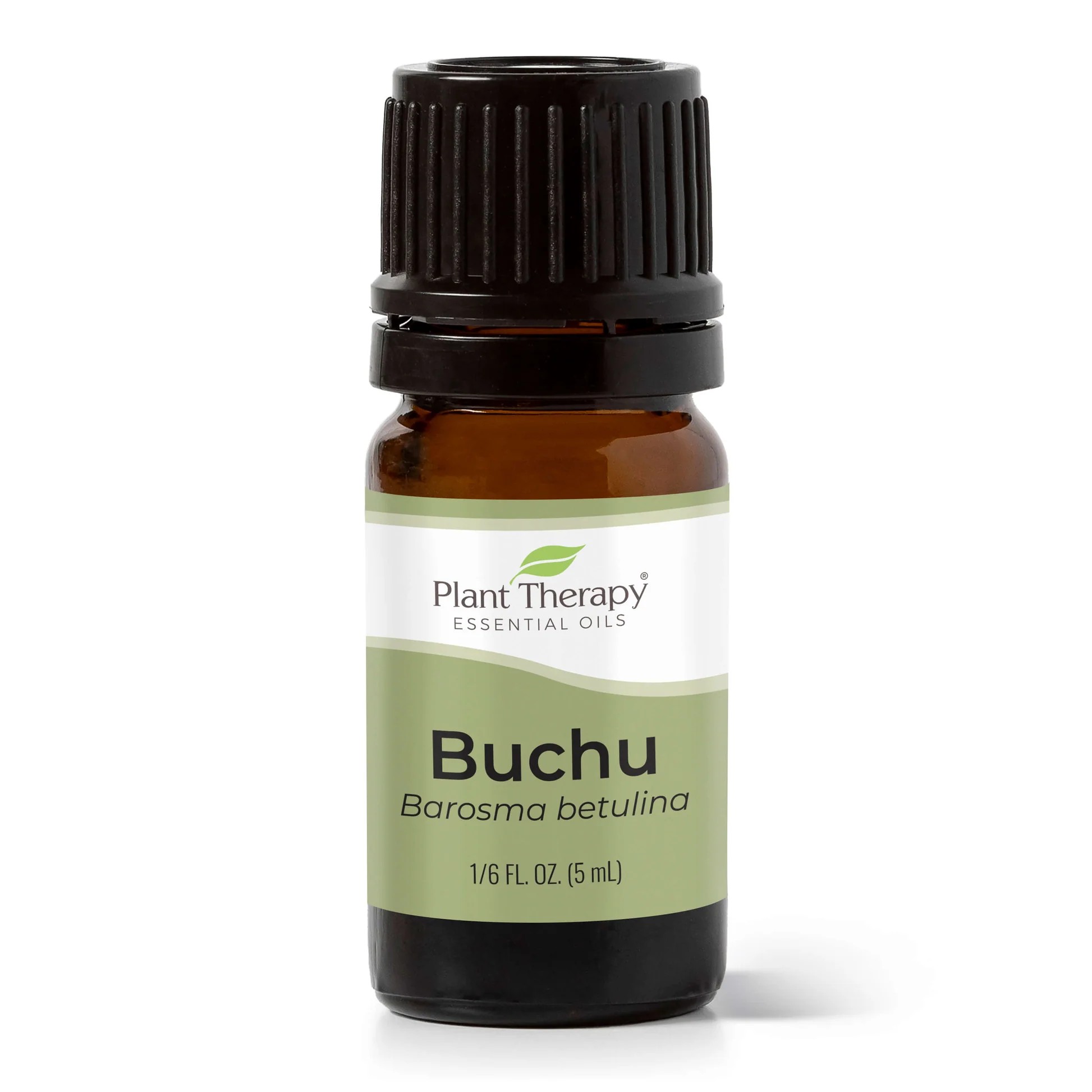 Buchu_Essential_Oil_5ml_Bottle_1946x Buchu Essential Oil - Plant Therapy - Image 1