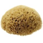 London Natural Honeycomb Sea Sponge Size 5.55 - Scentel