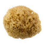 London Natural Honeycomb Sea Sponge Size 4.4.5 - Scentel