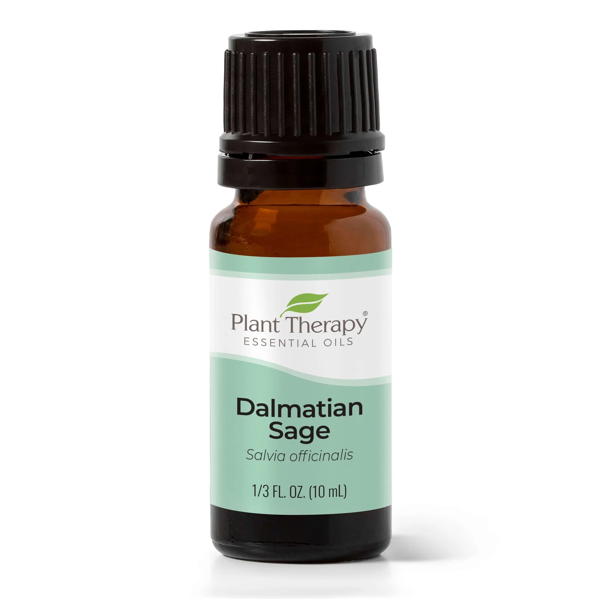 Plant_Therapy_Dalmatian_Sage_Essential_Oil_10ml_Bottle_1946x Dalmatian Sage Essential Oil - Plant Therapy - Image 1