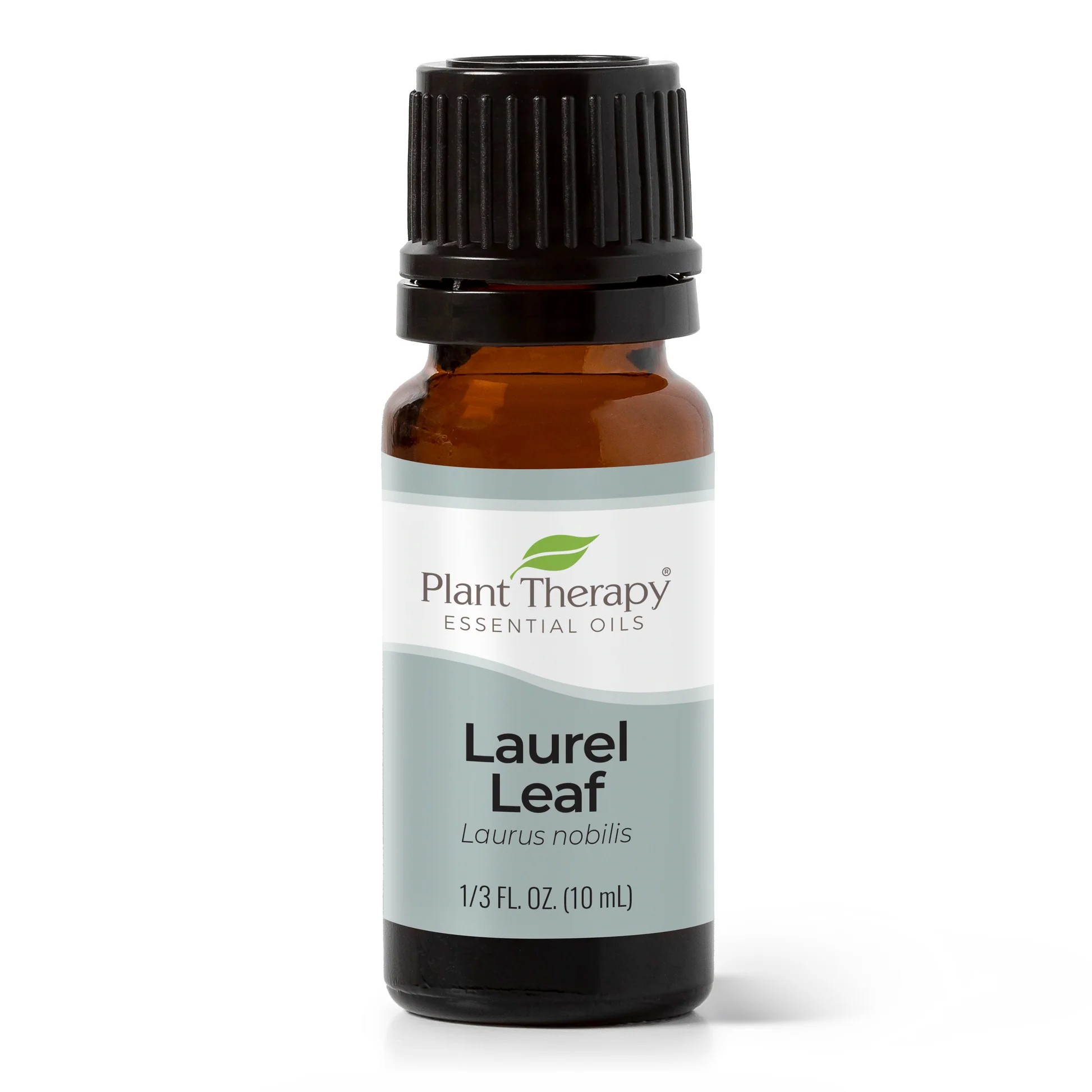 Plant_Therapy_Laurel_Leaf_Essential_Oil_10ml_Bottle_1946x Laurel Leaf Essential Oil - Plant Therapy - Image 1