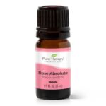 Rose Absolute Essential Oil - Plant Therapy
