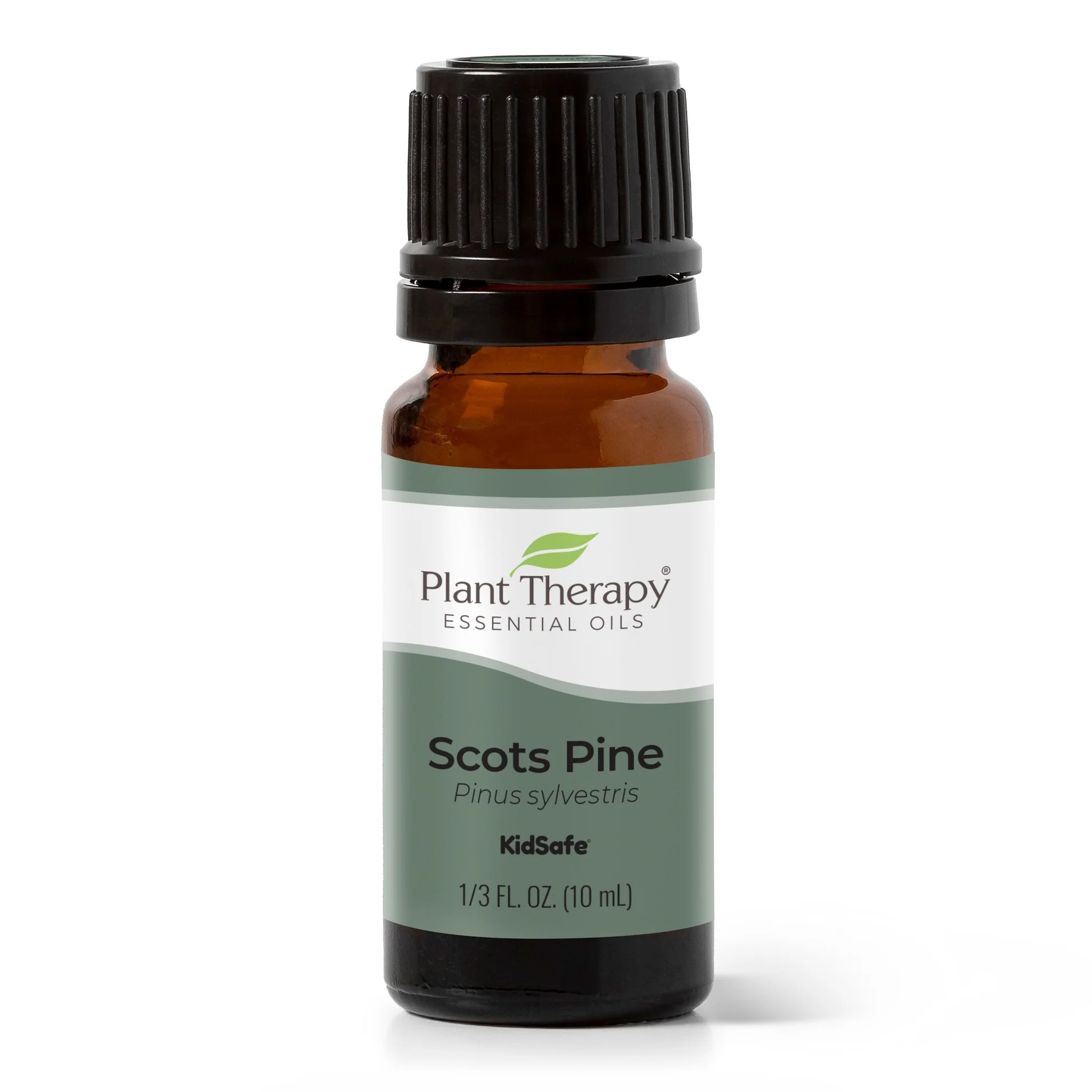Plant_Therapy_Scots_Pine_Essential_Oil_10ml_Bottle_1946x Scots Pine Essential Oil - Plant Therapy - Image 1