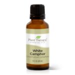 White Camphor Essential Oil - Plant Therapy