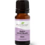 Balm Mint Bush Essential Oil - Plant Therapy