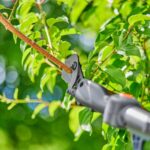 Battery Telescopic Pruning Loppers HighCut 250/18V P4A — 18 V, 28 mm Cutting, 4 m Reach, Bypass - Image 5