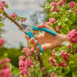Light Garden Secateurs EasyCut, Home Use, Budget-Friendly, 20 mm Cutting Diameter, Bypass Cut - Image 3
