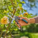 Garden Secateurs PremiumCut Flex, Semi-Professional, 24 mm Cutting Diameter, Bypass Cut - Image 3