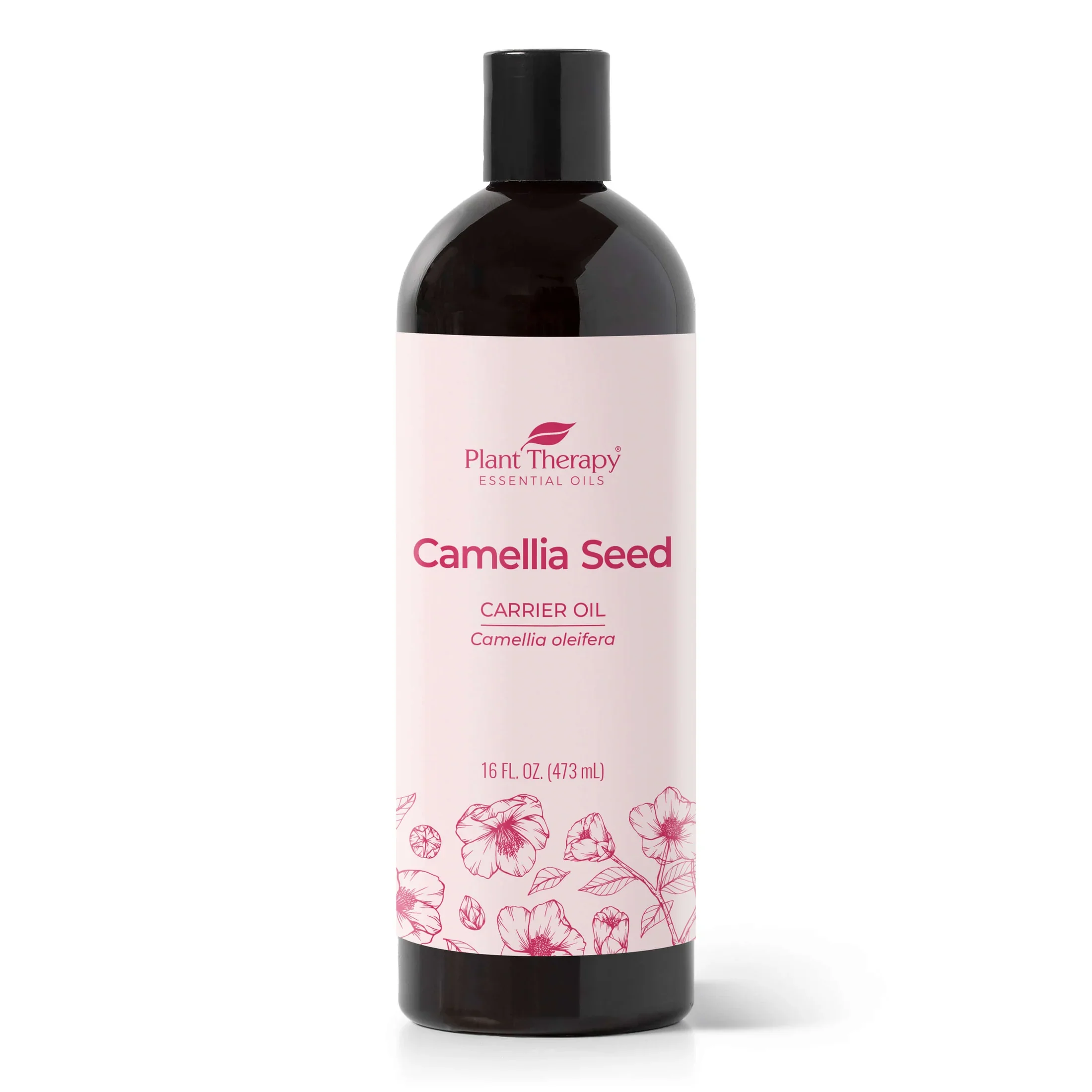 camellia_seed_carrier_oil-16oz-01_jpg Camellia Seed Carrier Oil - Plant Therapy - Image 1