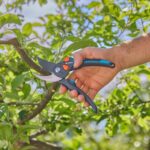 Garden Secateurs PremiumCut for Home Use, Semi-Professional, 24 mm Cutting Diameter, Bypass - Image 4