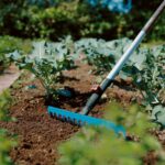 Multipurpose Rake for Gardening and Soil Work, 36 cm Working Width - Image 2
