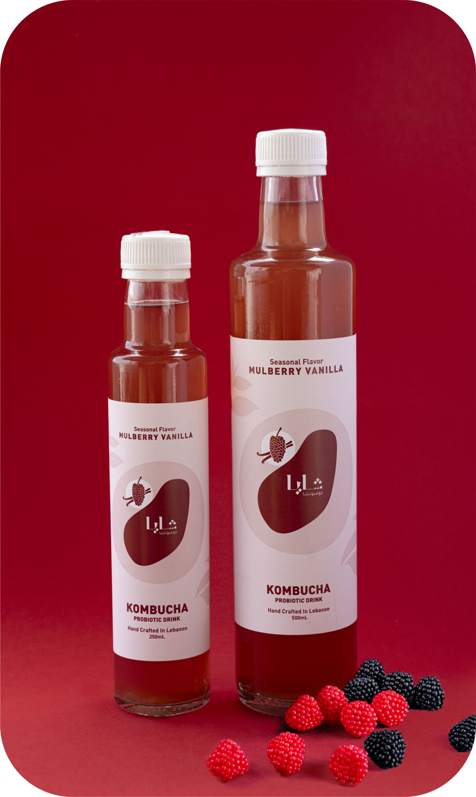 slice10-scaled-1.png Mulberry Vanilla (Bottle) - Shaya - Image 1