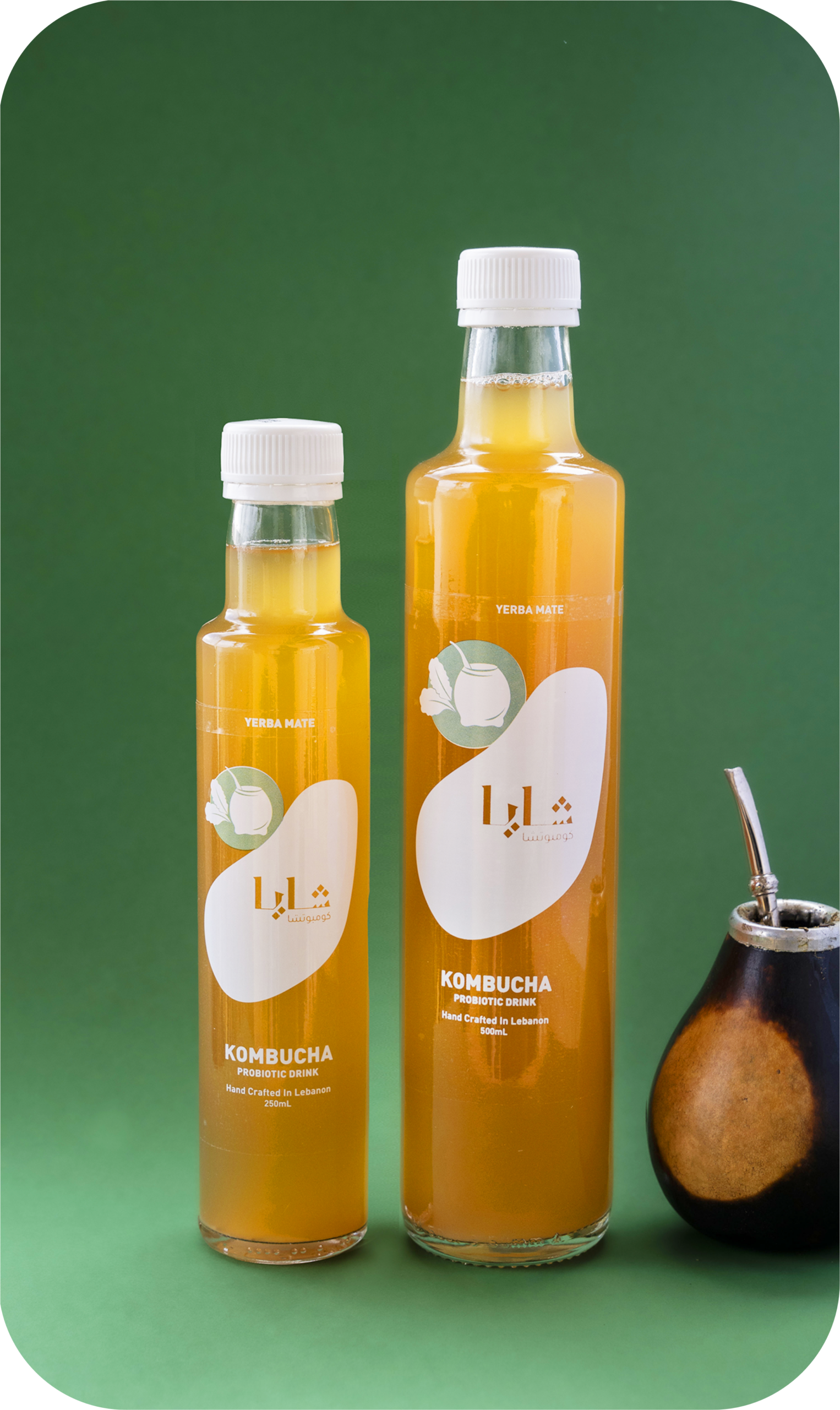 slice2-scaled-1.png Yerba Mate (Bottle) - Shaya - Image 1