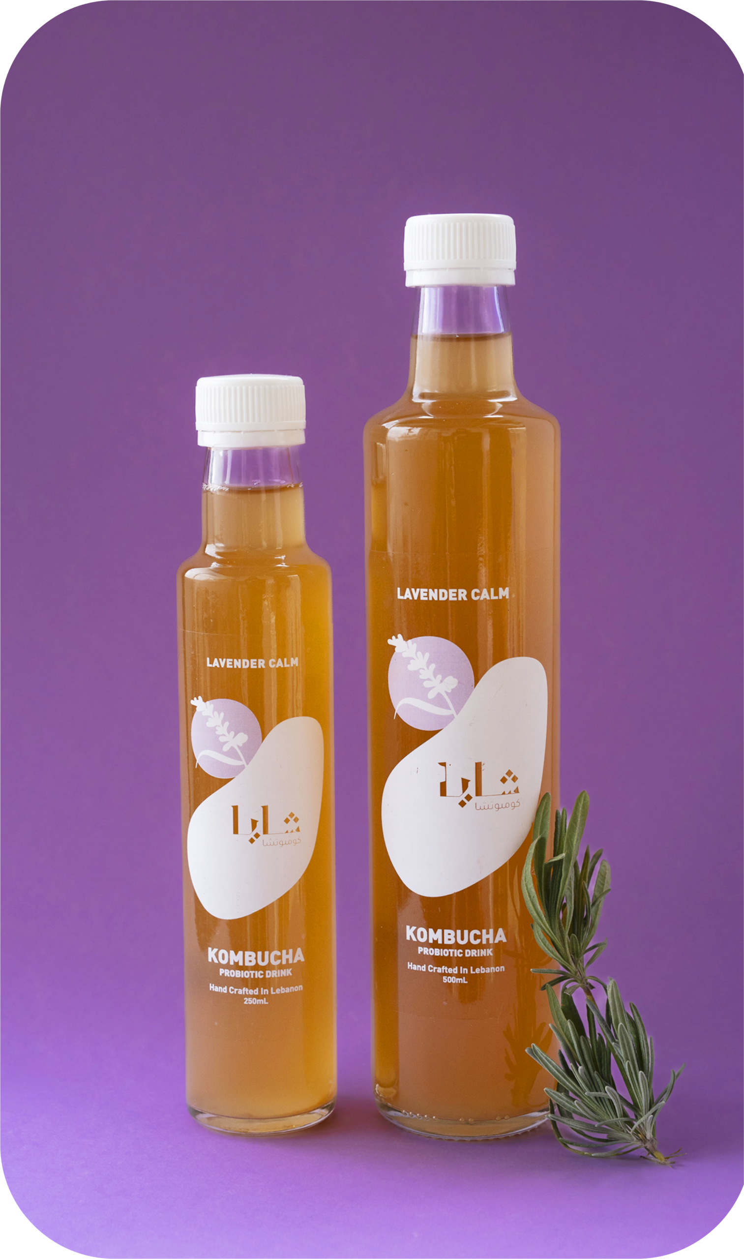 slice8-scaled-1.png Lavender Calm (Bottle) - Shaya - Image 1